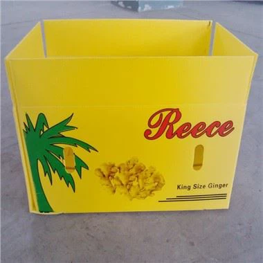 PP bylgjupappa Grænmeti Kassi