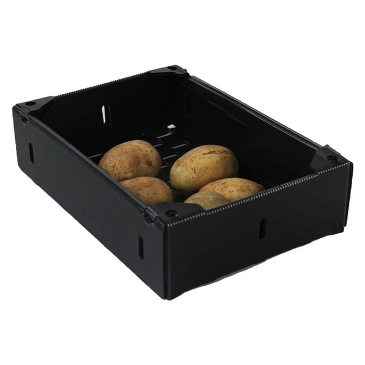 Foldable PP Corrugated Plastic Fruit Boxes