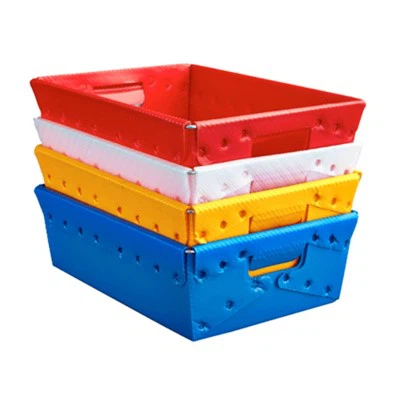 Litríkir PP bylgjupappa plastbakkar