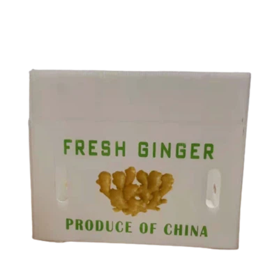 PP bylgjupappa plast engifer kassar