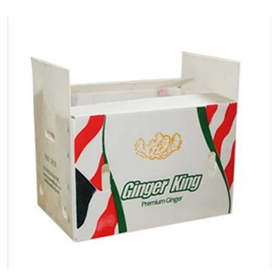 Endurvinnanleg OEM bylgjupappa plastveltubox