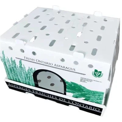 Sérsniðin Coroplast bylgjupappa plastbox